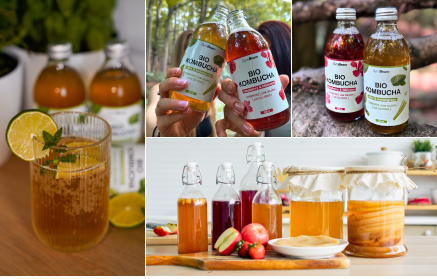 Kombucha : une conquête mondiale, une tendance passagère ou une boisson aux multiples bienfaits ?