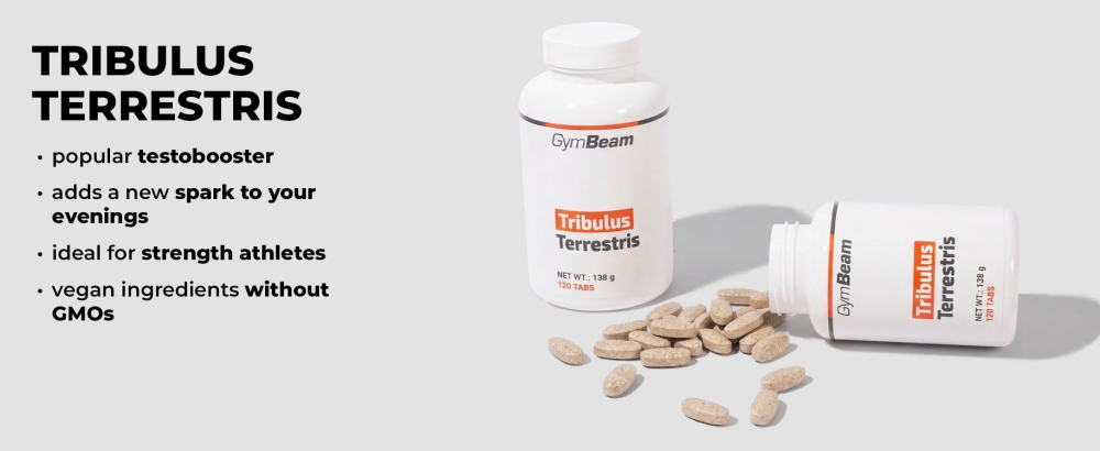 Effets du Tribulus Terrestris - GymBeam