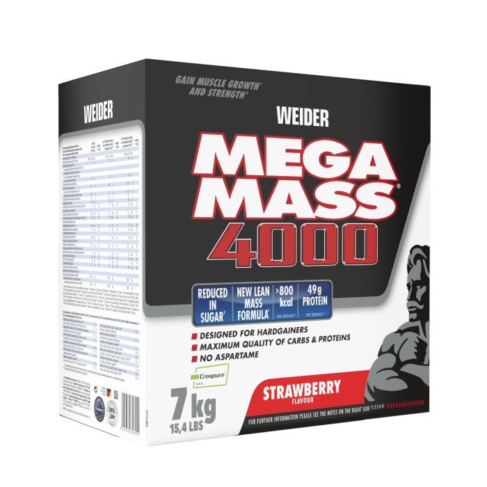 Gainer Giant Mega Mass 4000 - Weider 3000 g - chocolate