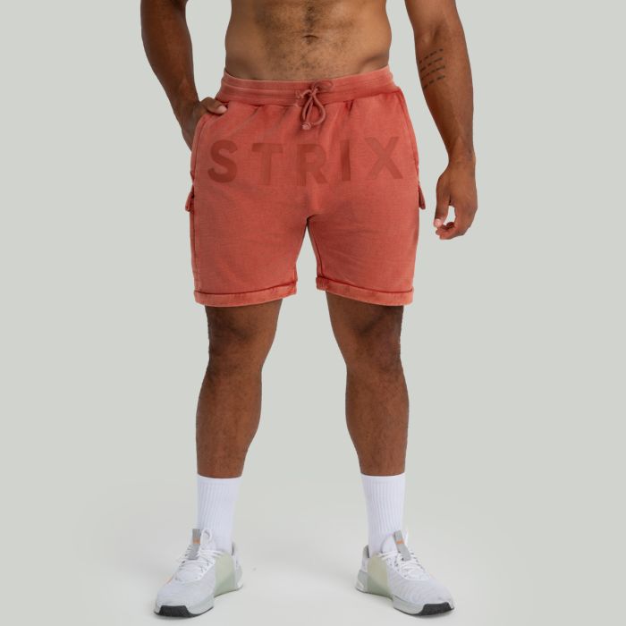 Shorts Washed Terra - STRIX M