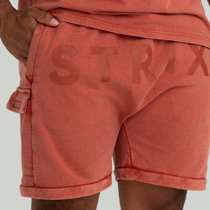 Shorts Washed Terra - STRIX M