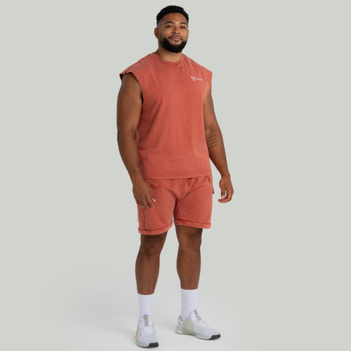 Shorts Washed Terra - STRIX M