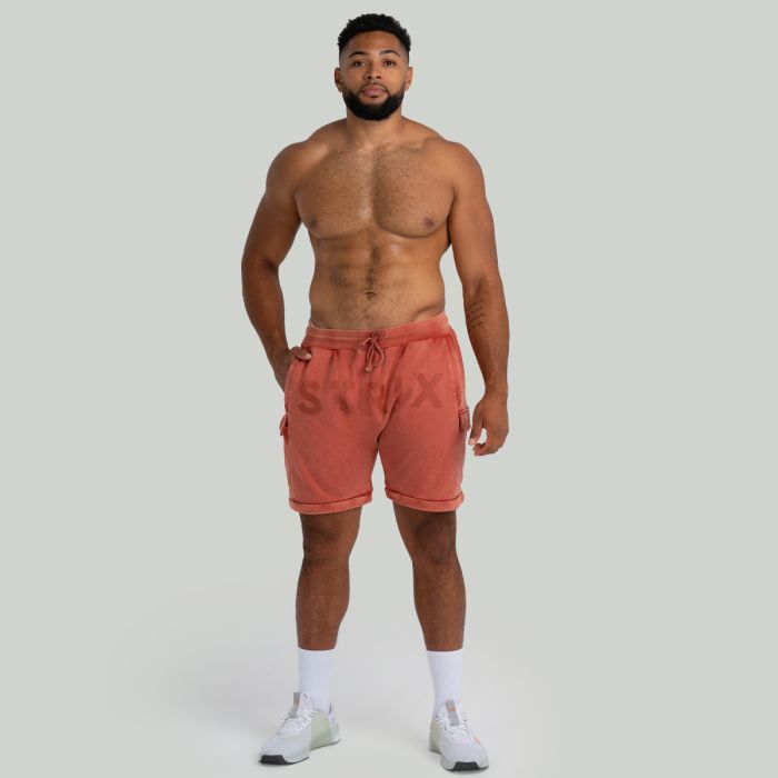 Shorts Washed Terra - STRIX M