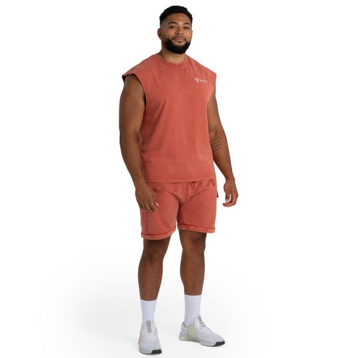 Shorts Washed Terra - STRIX M