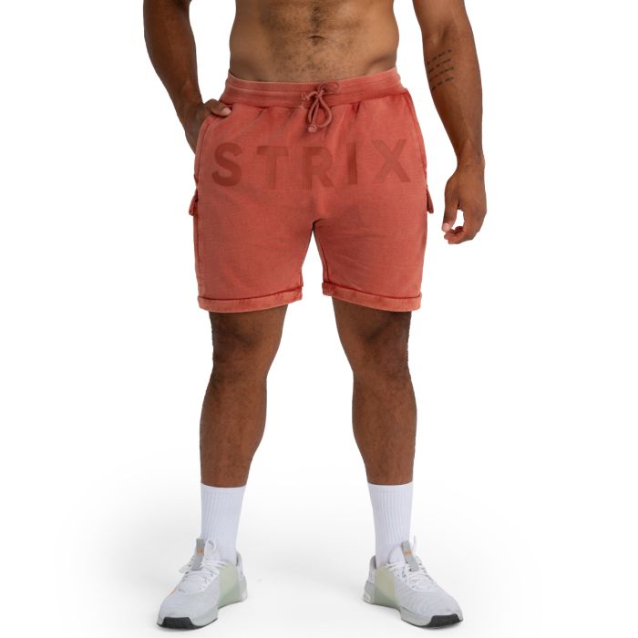 Shorts Washed Terra - STRIX M