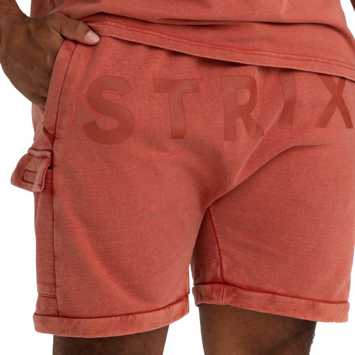 Shorts Washed Terra - STRIX M
