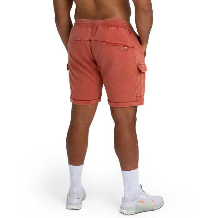 Shorts Washed Terra - STRIX M
