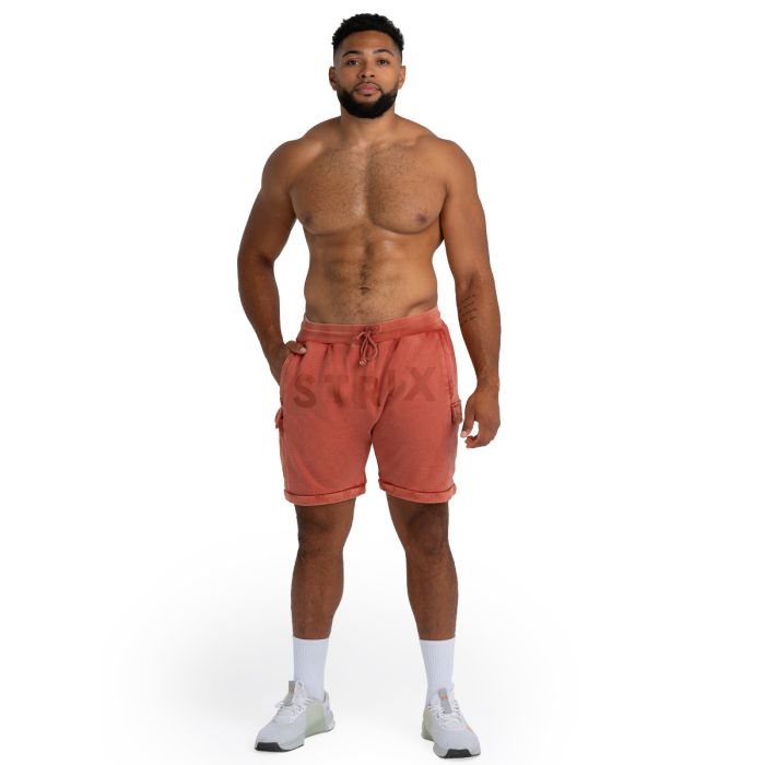 Shorts Washed Terra - STRIX M