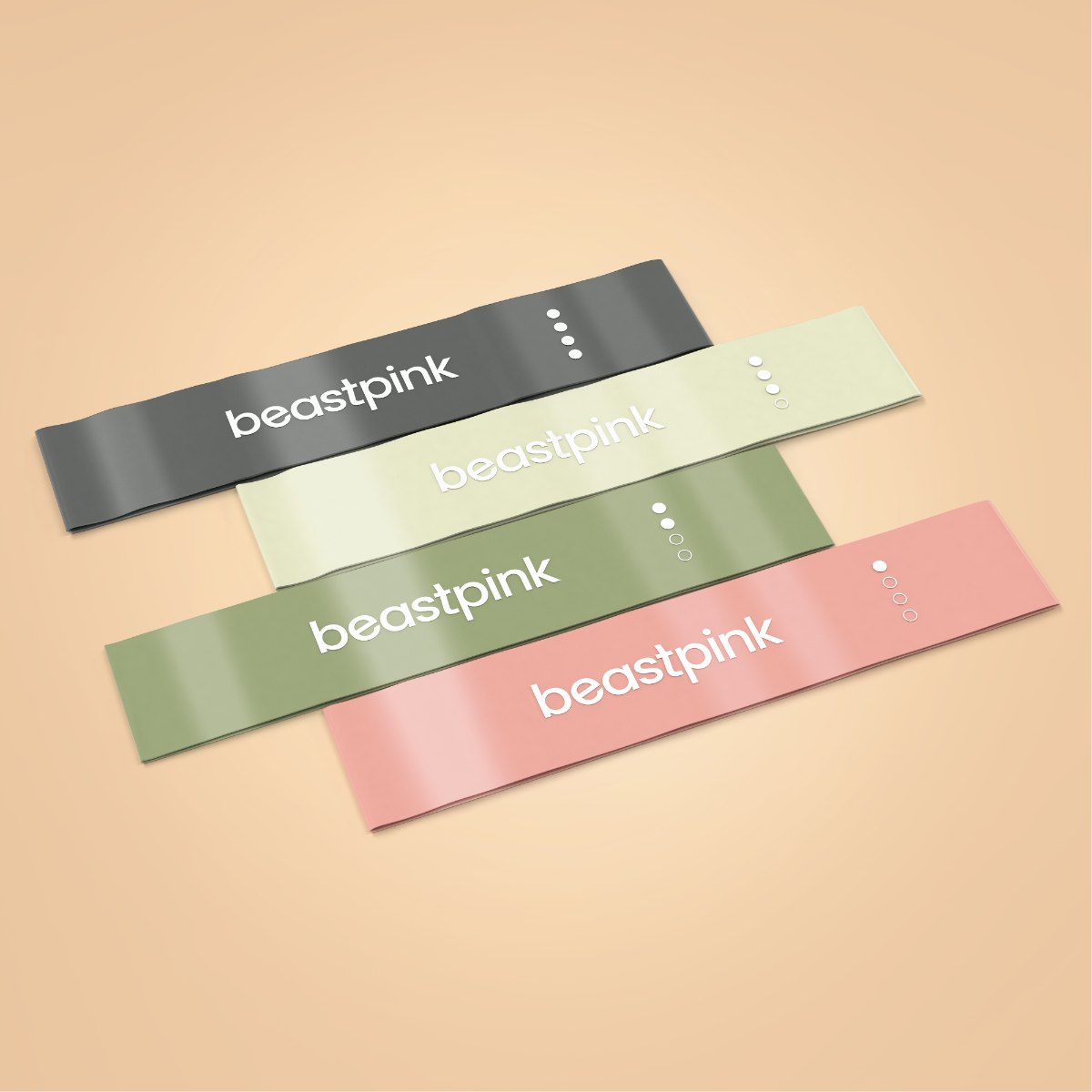 Ensemble de bandes de résistance – BeastPink.